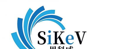 企業(yè)數(shù)字化形象構建 從網站建設到電商設計與品牌策劃
